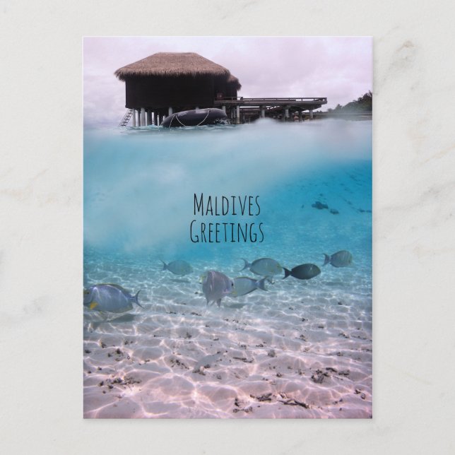 Maldives Greetings Snorkeling Fun Souvenir Postcard (Front)