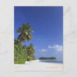 Maldives, Meemu Atoll, Medhufushi Island Postcard