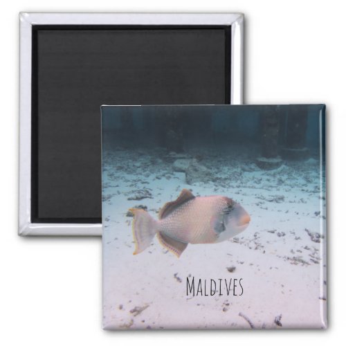 Maldives Underwater Coral Fish Souvenir Magnet