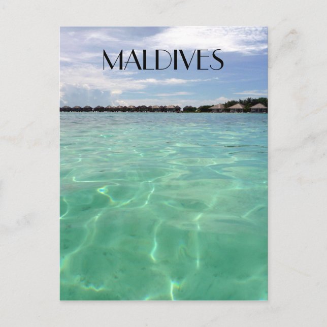 maldives waters postcard (Front)