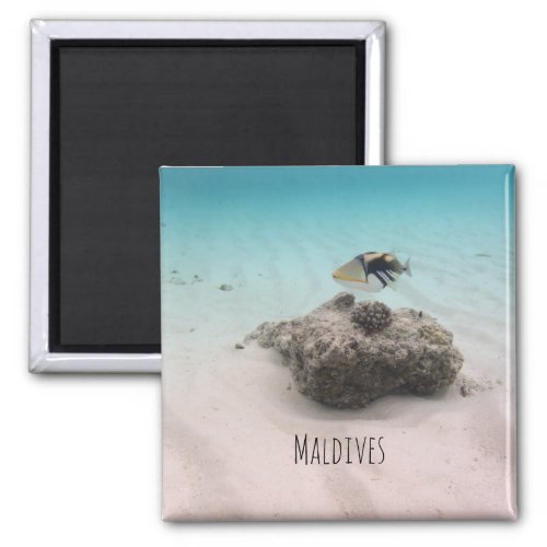 Maldives White Sand Lagoon Coral Fish Souvenir Magnet