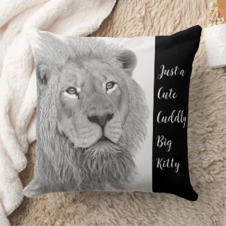 Male African Lion Just a Cute Cuddly Big Kitty