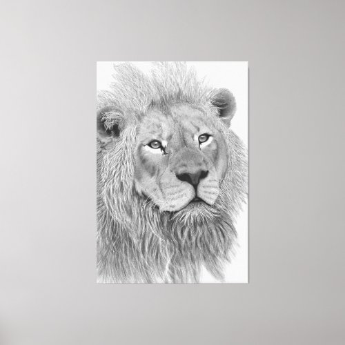 Male African Lion Pencil Drawing Canvas Print