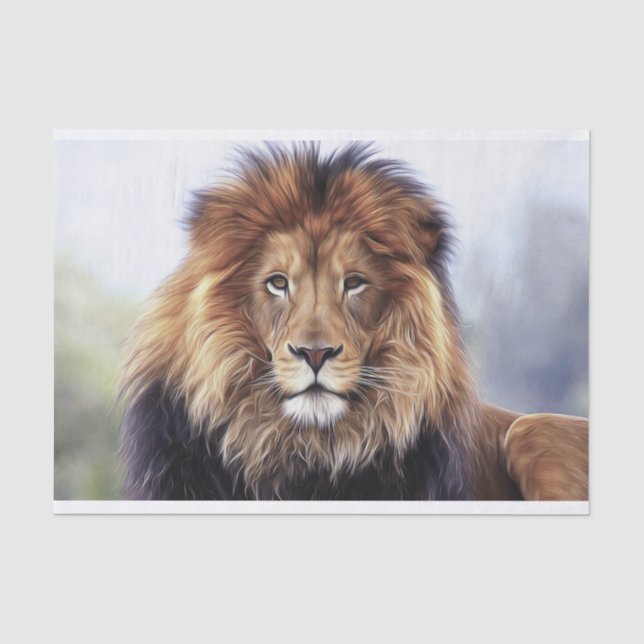 Male African Lion  Tissue Paper (Front)