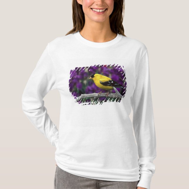 Male, American Goldfinch in summer plumage, T-Shirt (Front)