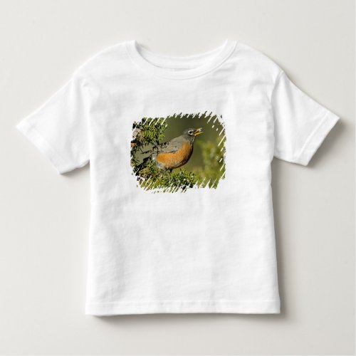 Male American Robin eating juniper tree Toddler T_shirt