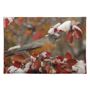 Male American Robin in Black Hawthorn Cloth Placemat