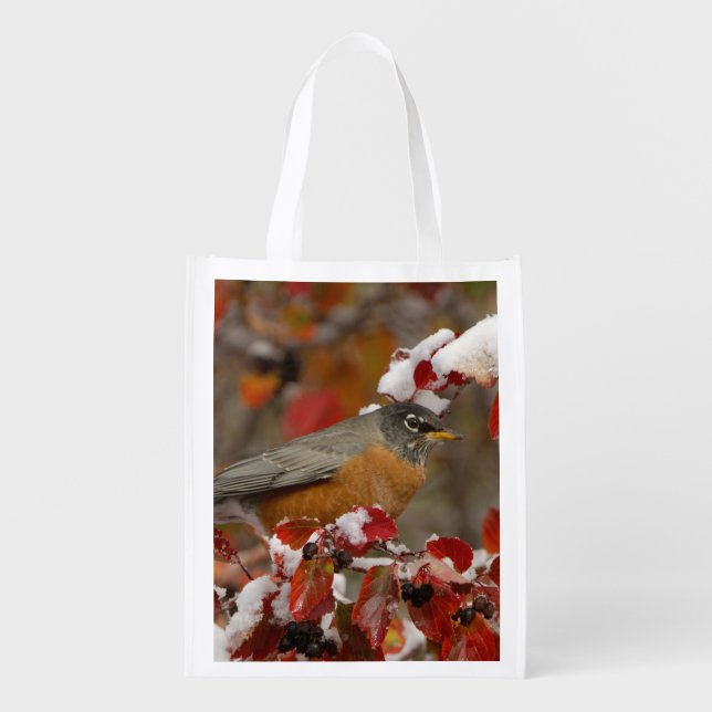 Male American Robin in Black Hawthorn Reusable Grocery Bag (Front)