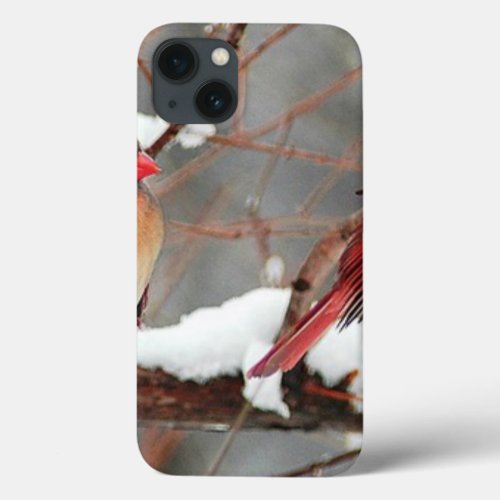 male and cardinals iPhone 13 case