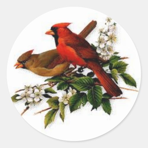 Male and Female cardinal on a  blooming branch Classic Round Sticker