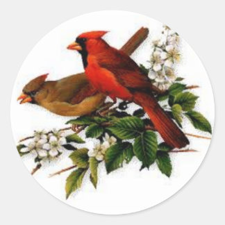 Male and Female cardinal on a blooming branch Classic Round Sticker