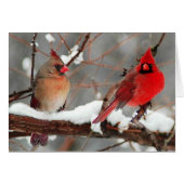male and female cardinals (Front Horizontal)