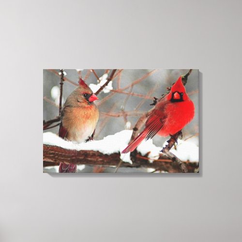 male and female cardinals canvas print