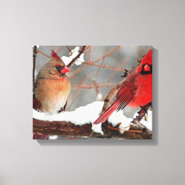 male and female cardinals canvas print (Front)