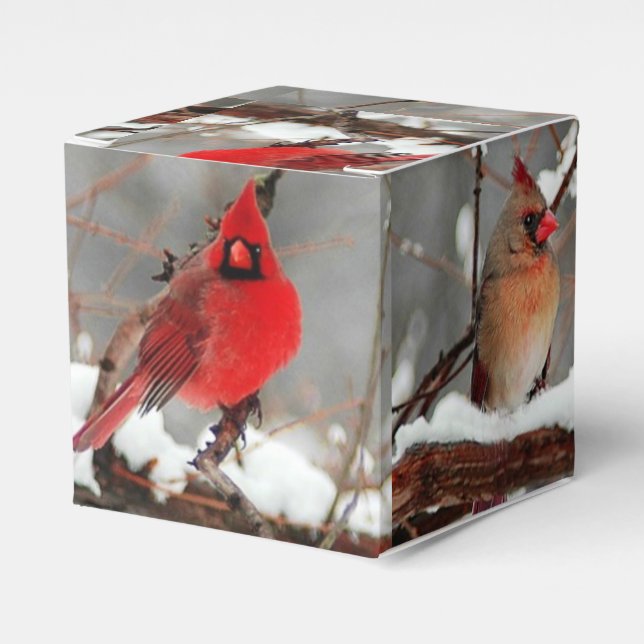 male and female cardinals favor boxes (Front Side)