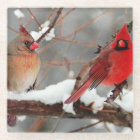 male and female cardinals