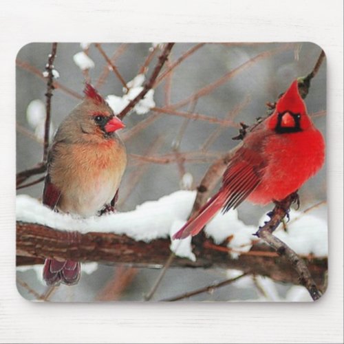 male and female cardinals mouse pad