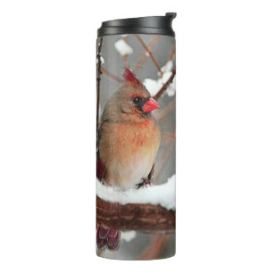 male and female cardinals thermal tumbler