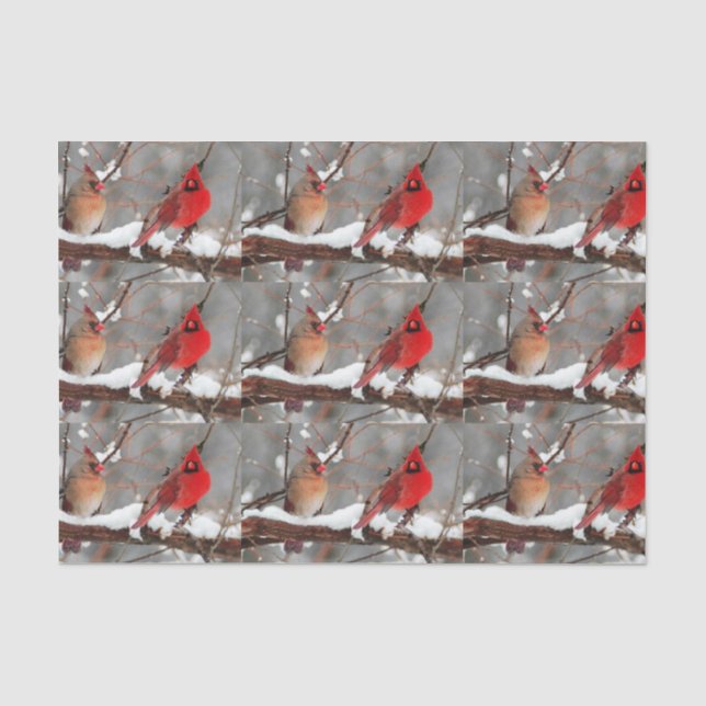 male and female cardinals tissue paper (Front)