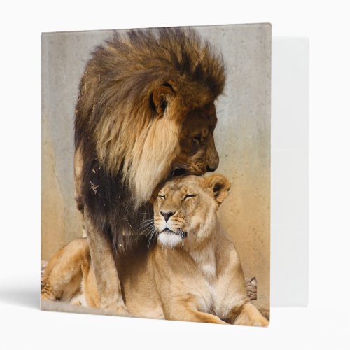 Male and Female Lion in Love 3 Ring Binder