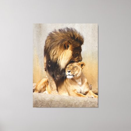 Male And Female Lion In Love Canvas Print