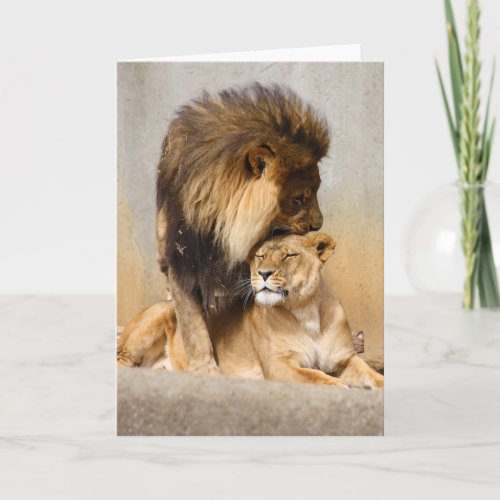 Male and Female Lion in Love Card