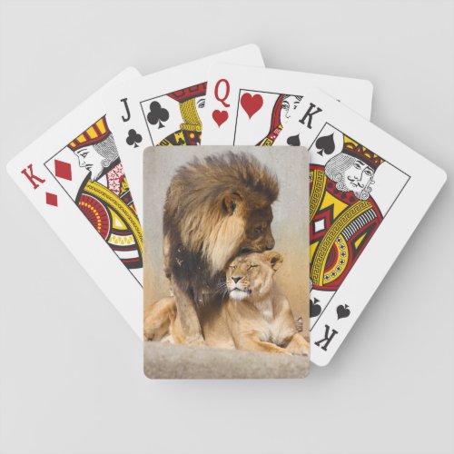 Male and Female Lion in Love Poker Cards