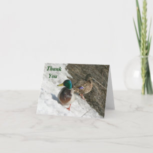 male and female mallards on snow thank you note card
