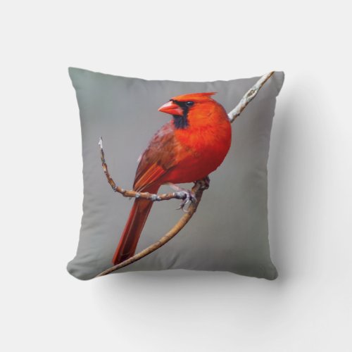 Male and Female Northern Cardinal Throw Pillow
