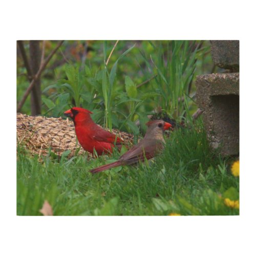 Male and Female Northern Cardinal Wood Wall Art