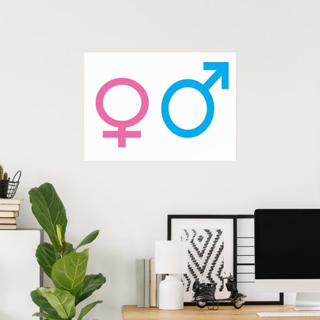 Male and female signs (Home Office)