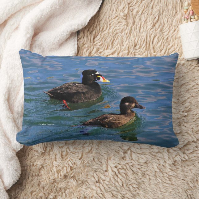 Male and Female Surf Scoter Ducks at the Pier Lumbar Pillow (Blanket)
