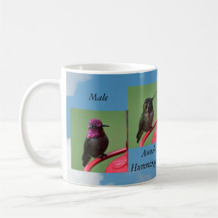 Male Ann'a Hummingbird Mug