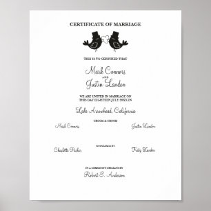 Male Birds Couple in Black Poster