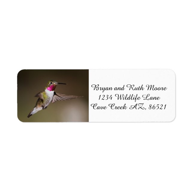 Male Broad - tailed hummingbird Label (Front)