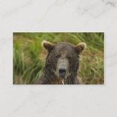 Male Brown Bear Fishing for Salmon Business Card (Back)