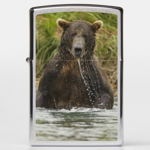 Male Brown Bear Fishing for Salmon Zippo Lighter