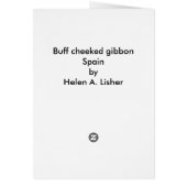 Male Buff cheeked gibbon (Back)