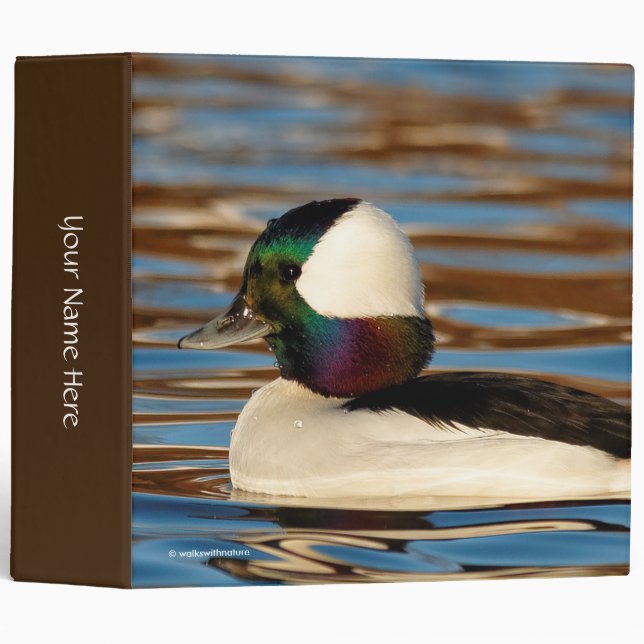 Male Bufflehead Duck in the Afternoon Sun Binder (Front/Spine)