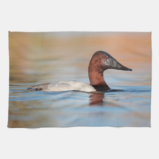 Male canvasback duck kitchen towel (Horizontal)