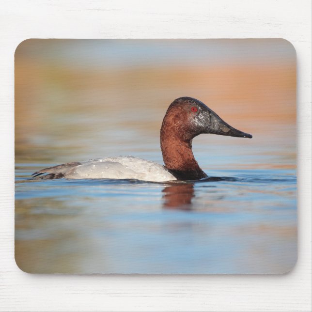 Male canvasback duck mouse pad (Front)
