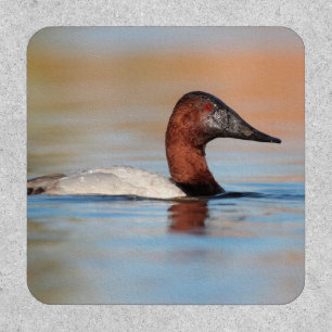 Male canvasback duck patch