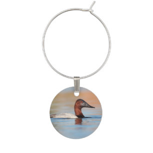 male canvasback duck wine charm