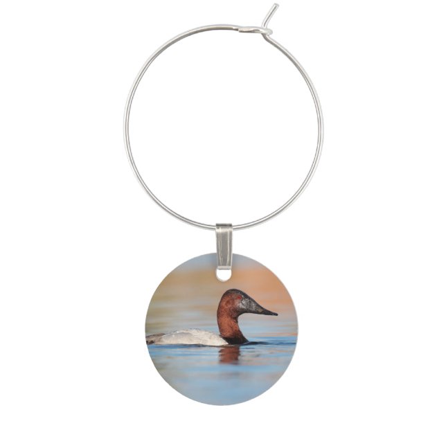 male canvasback duck wine charm (Front)