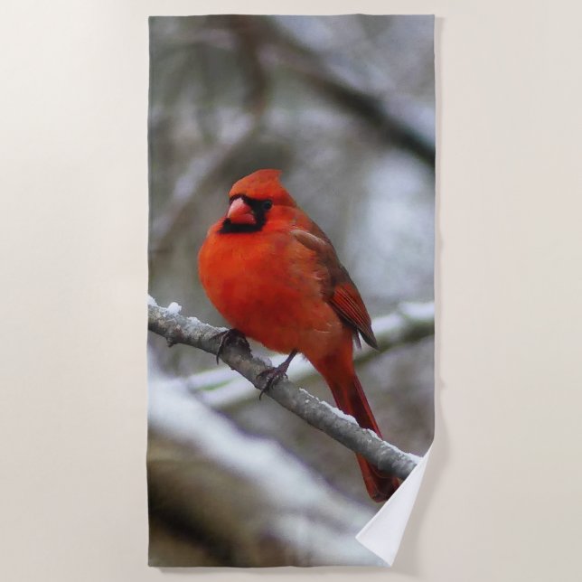 Male Cardinal Beach Towel (Front)