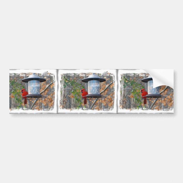 Male Cardinal Bumper Sticker (Front)