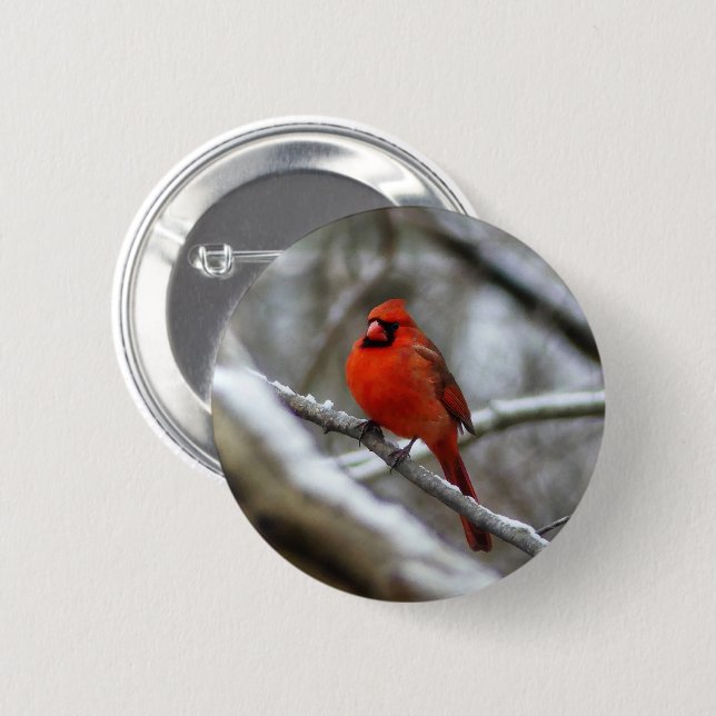 Male Cardinal Button (Front & Back)