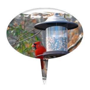 Male Cardinal Cake Topper