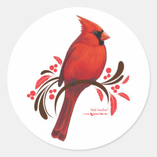 Male Cardinal Classic Round Sticker