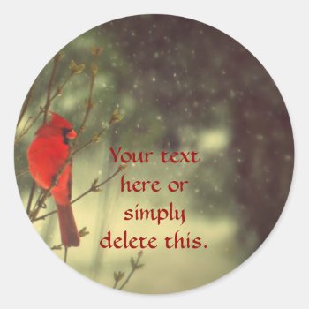Male Cardinal Classic Round Sticker by Vanillaextinctions at Zazzle